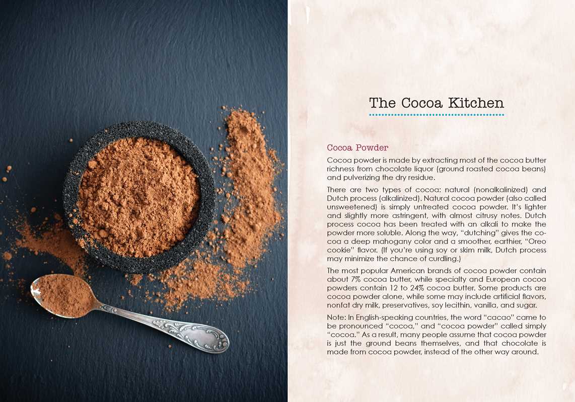 Hot Cocoa Comfort by Michael Turback