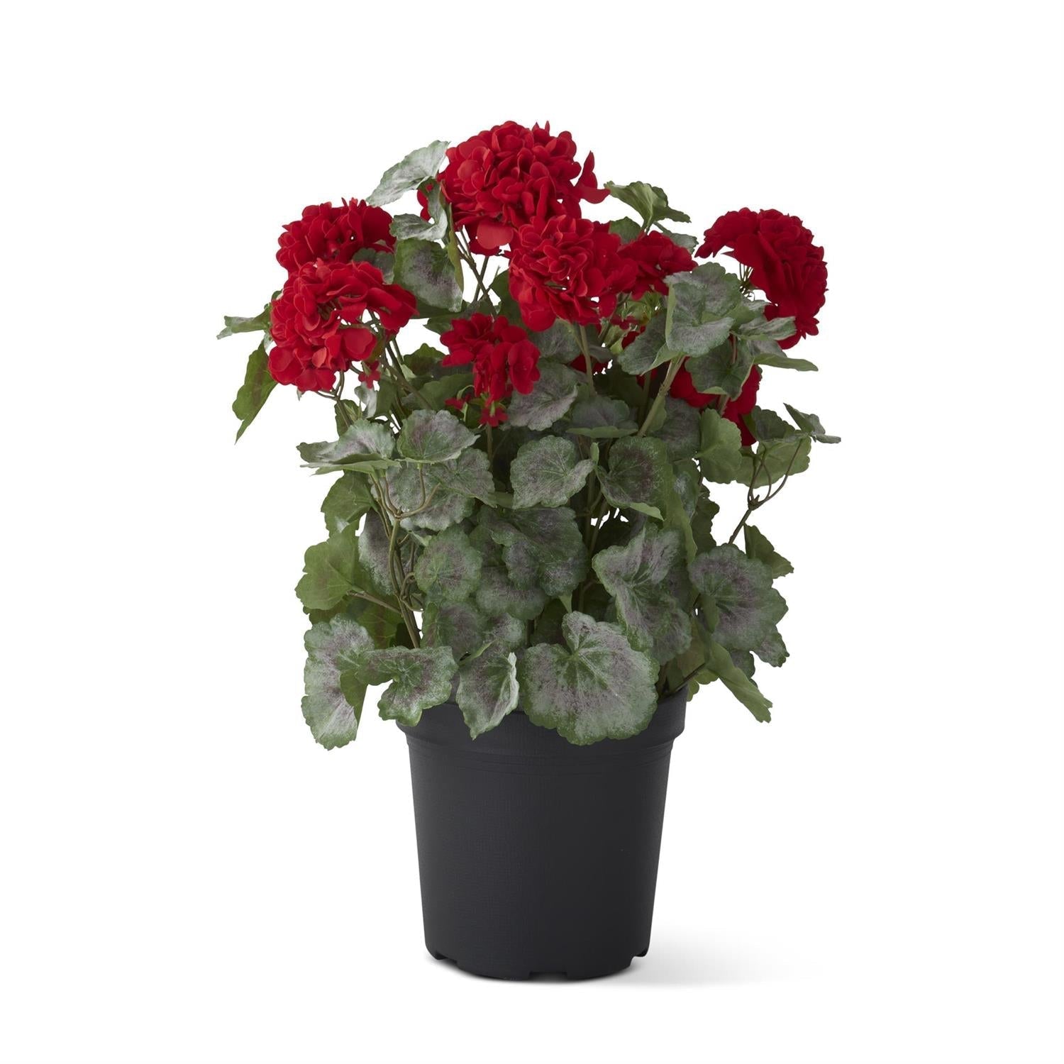 24 Inch Red Potted Geranium w/Faux Dirt