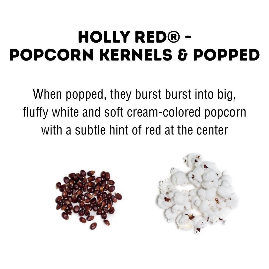 Holly Red® Gourmet Popcorn Kernels Gift Box, 1 lb