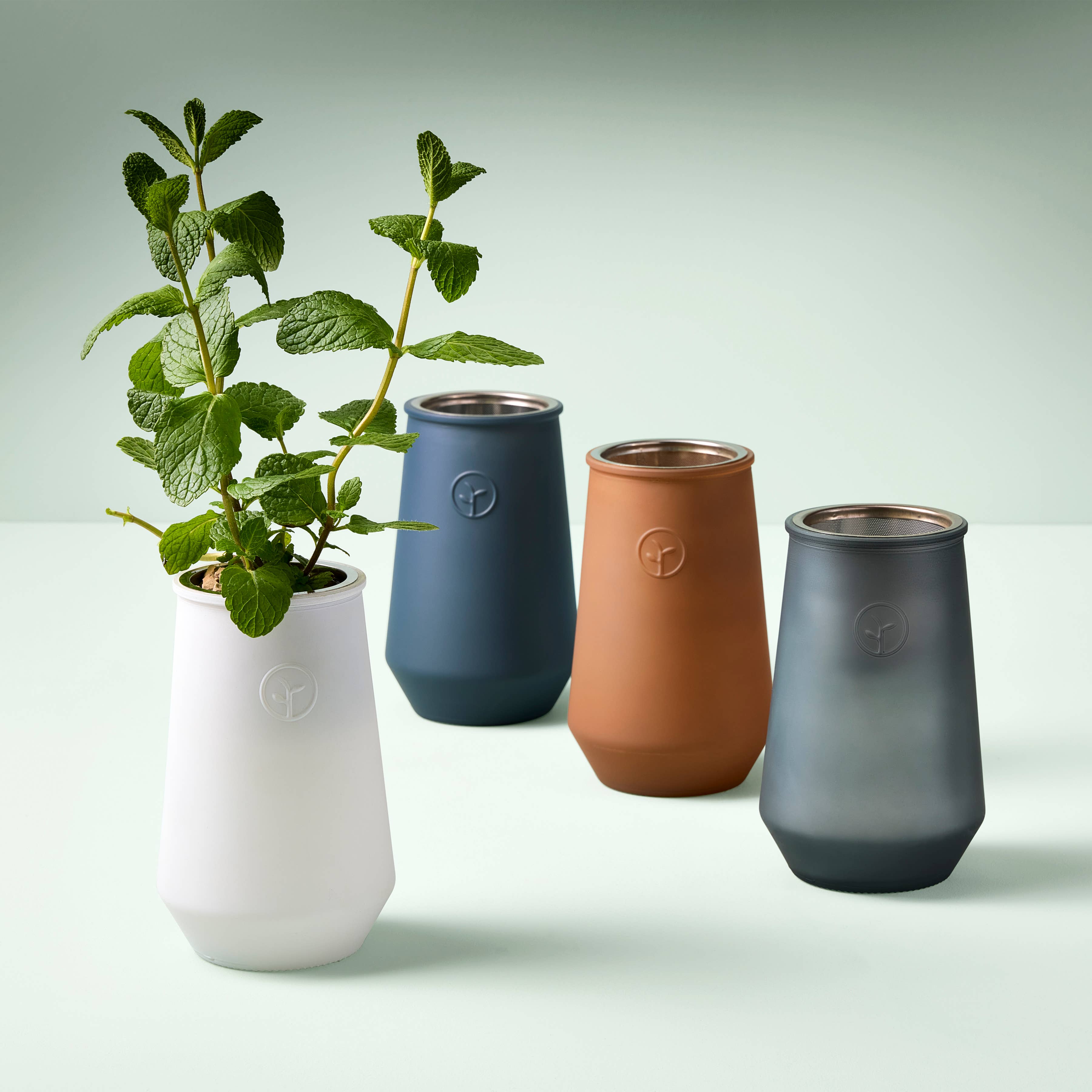Tapered Tumbler