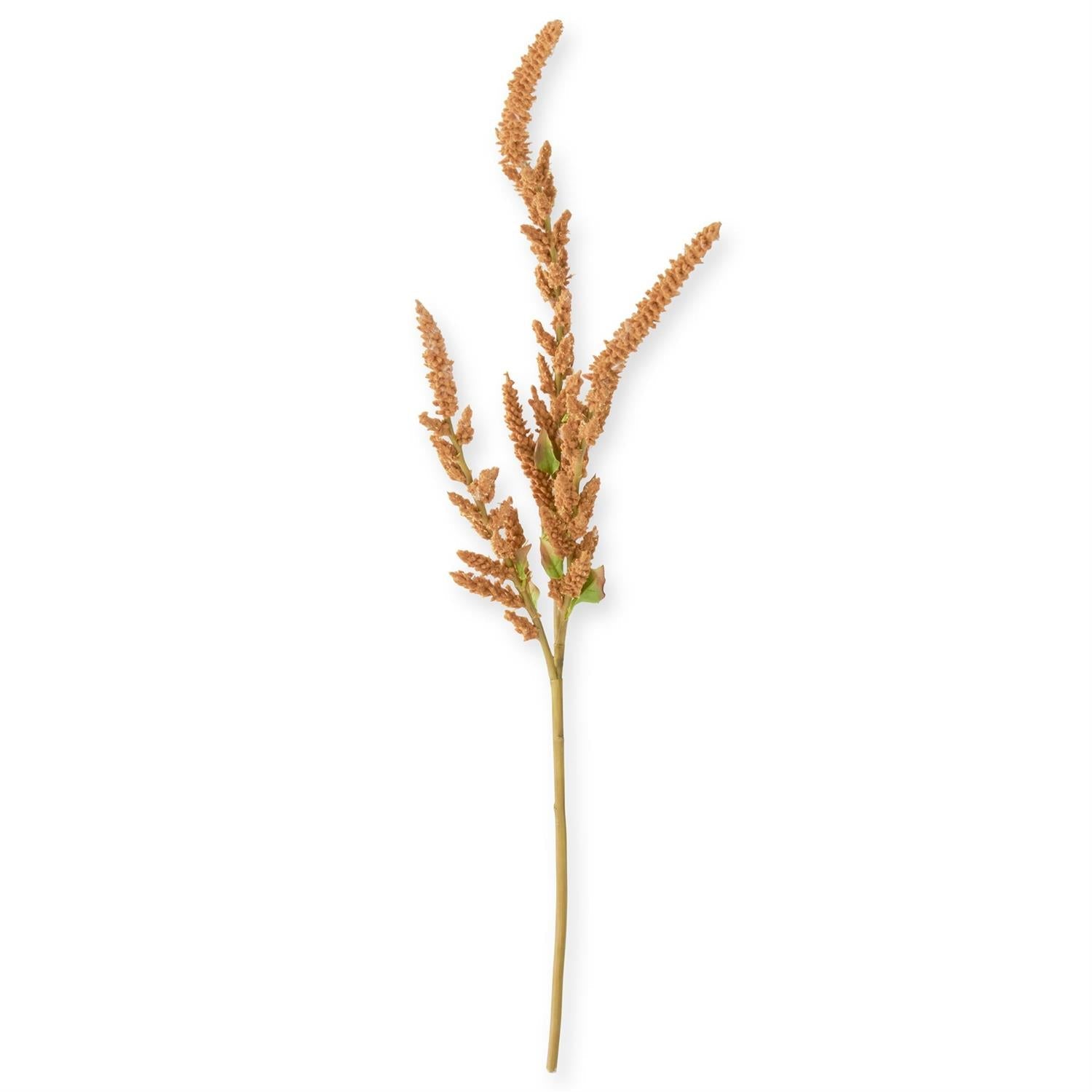 Mustard amaranthus stem, 37 inches, fall floral