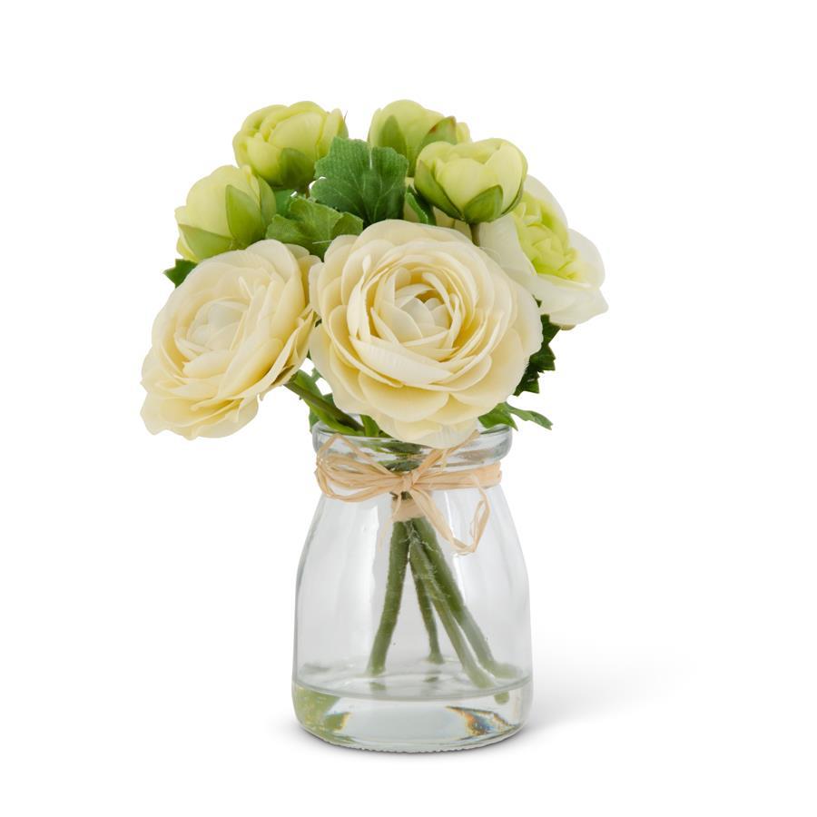 White ranunculus arrangement in glass vase, 6.75 inches