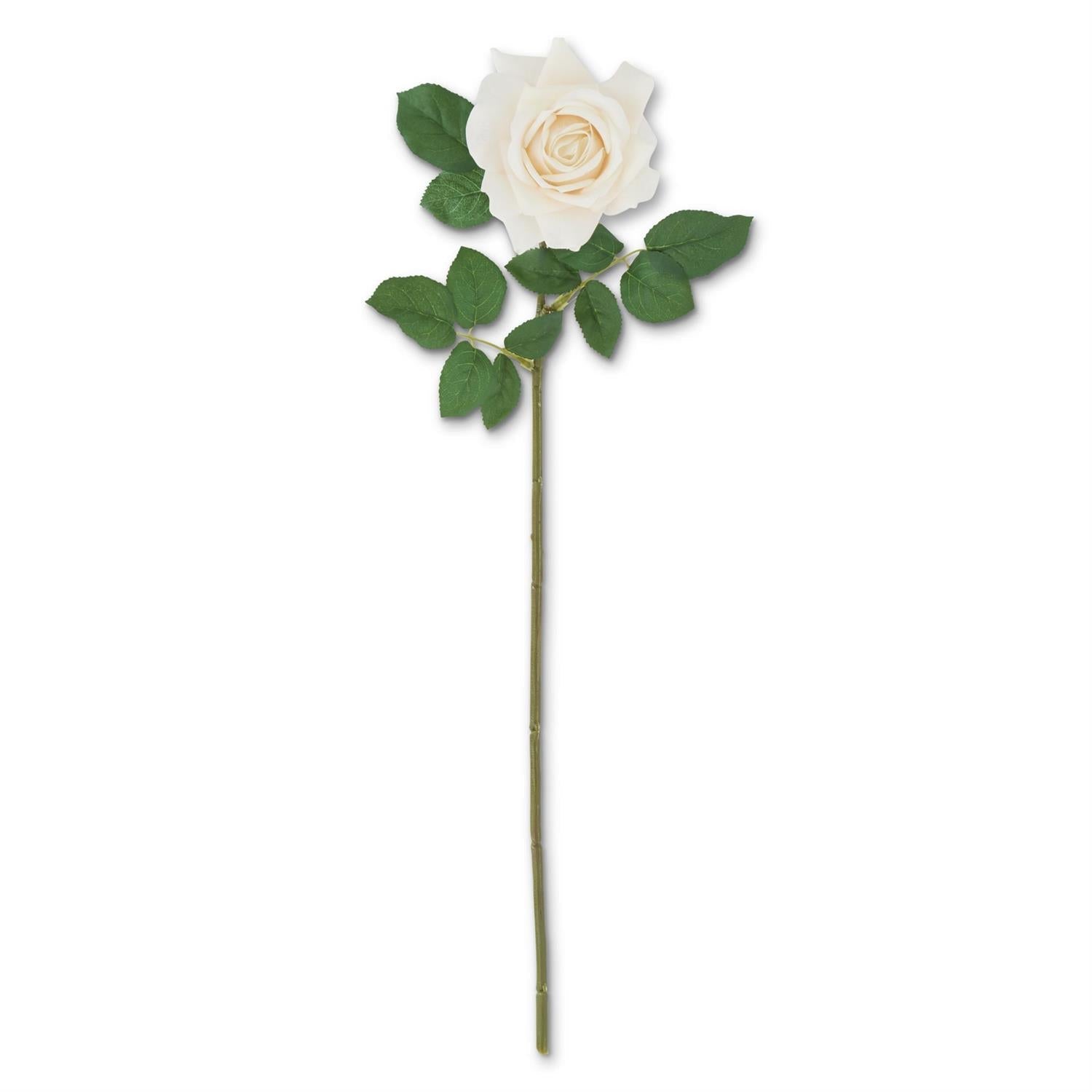 Cream White Real Touch Duchess Rose Stem, 25"