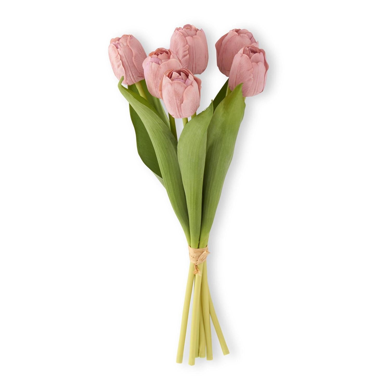 13 Inch Coral Real Touch Tulip Bundle (6 Stem)