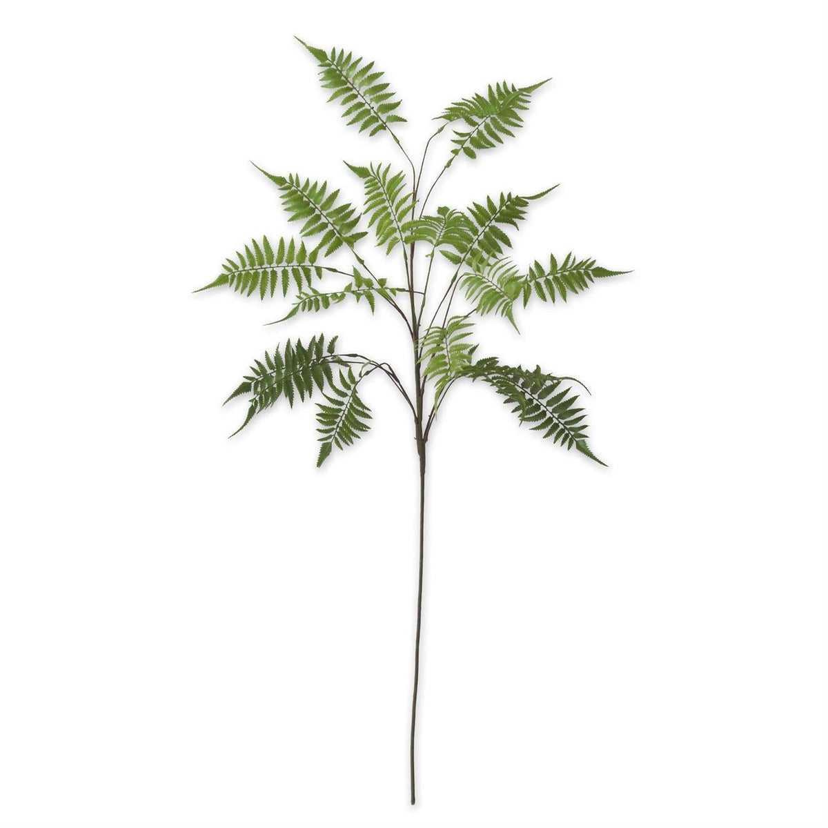 Real touch lady fern spray, green, 46 inches