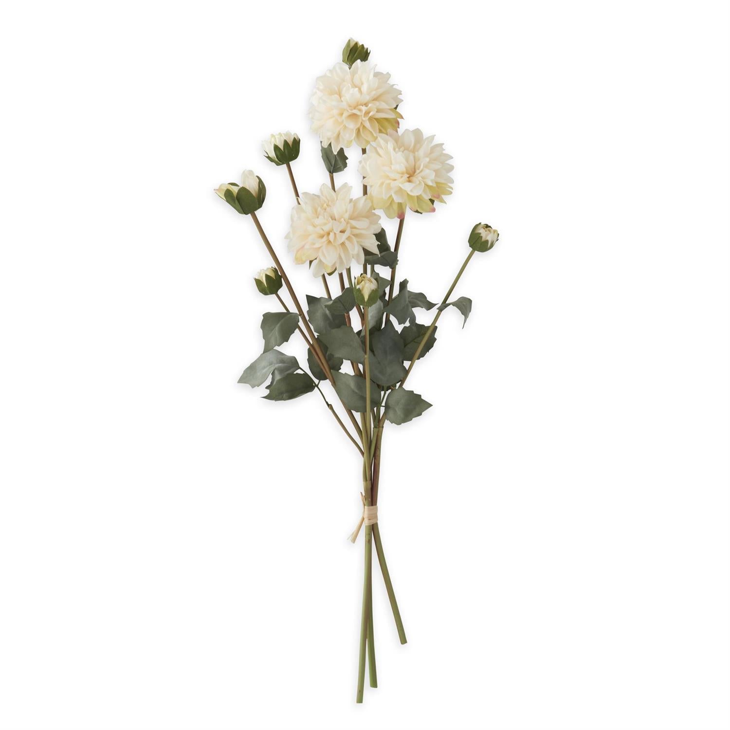 Cream Faux Dried Dahlia Bundle, 23"