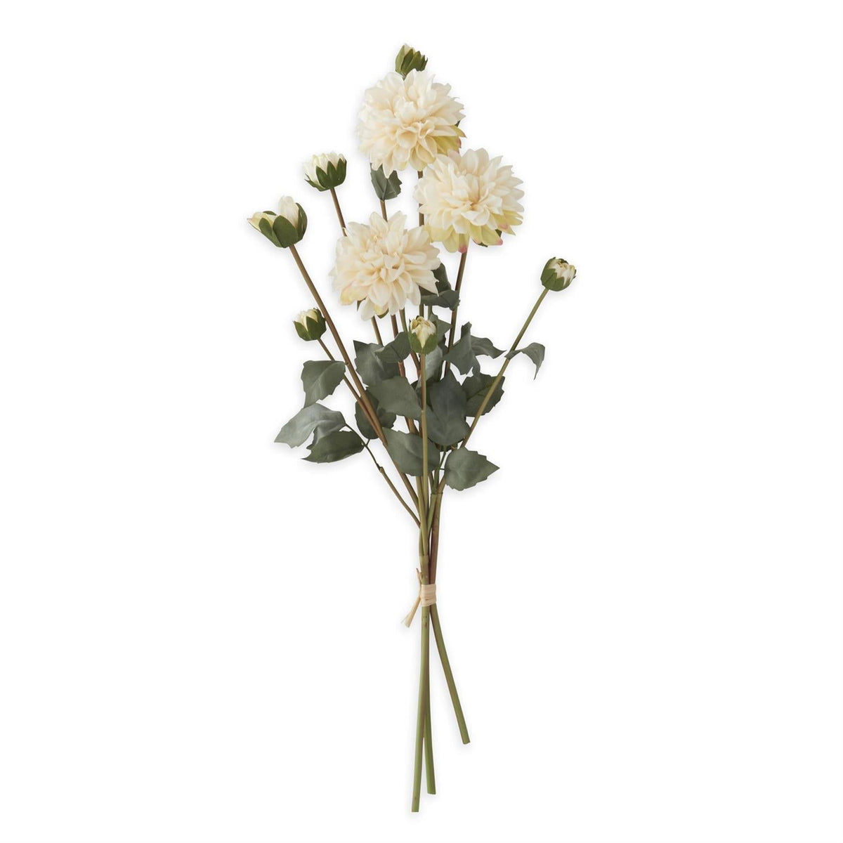 Cream faux dried dahlia bundle, 23 inches, artificial floral