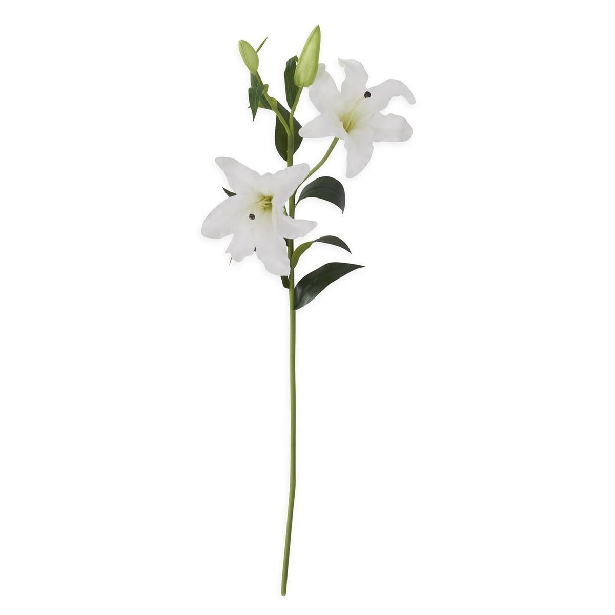 White real touch lily stem, 35 inches, 3 blooms 2 buds