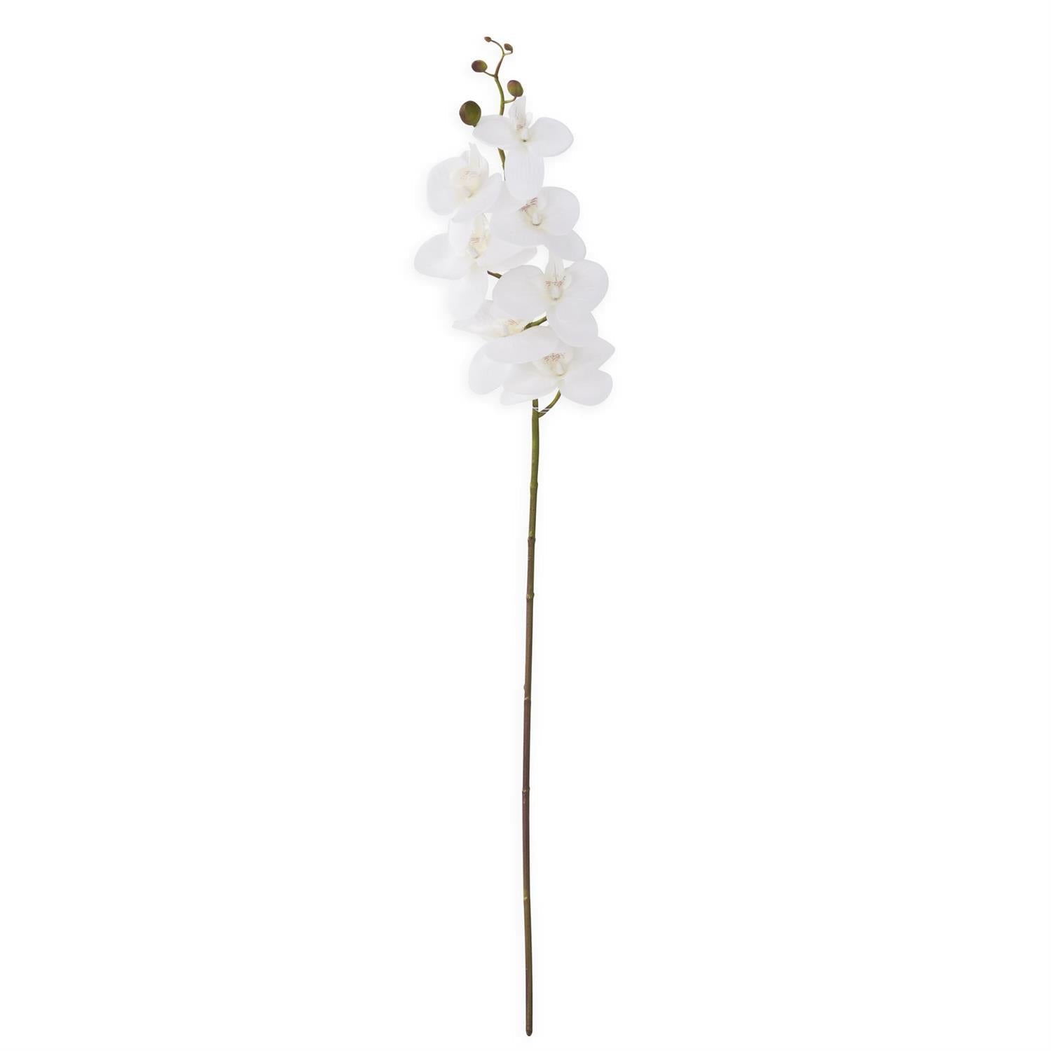 34.5 Inch White Orchid Stem