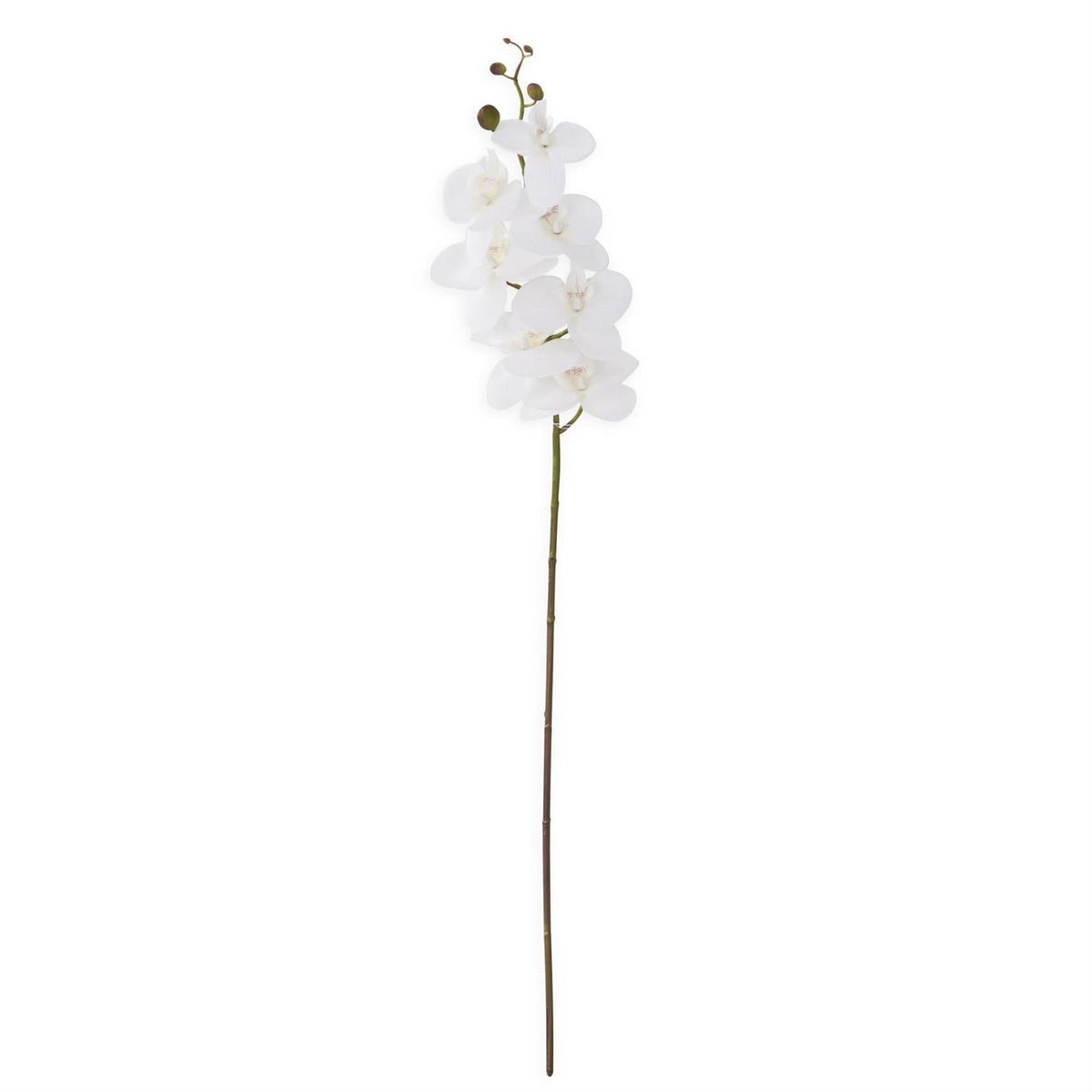 White orchid stem, 34.5 inches, artificial floral