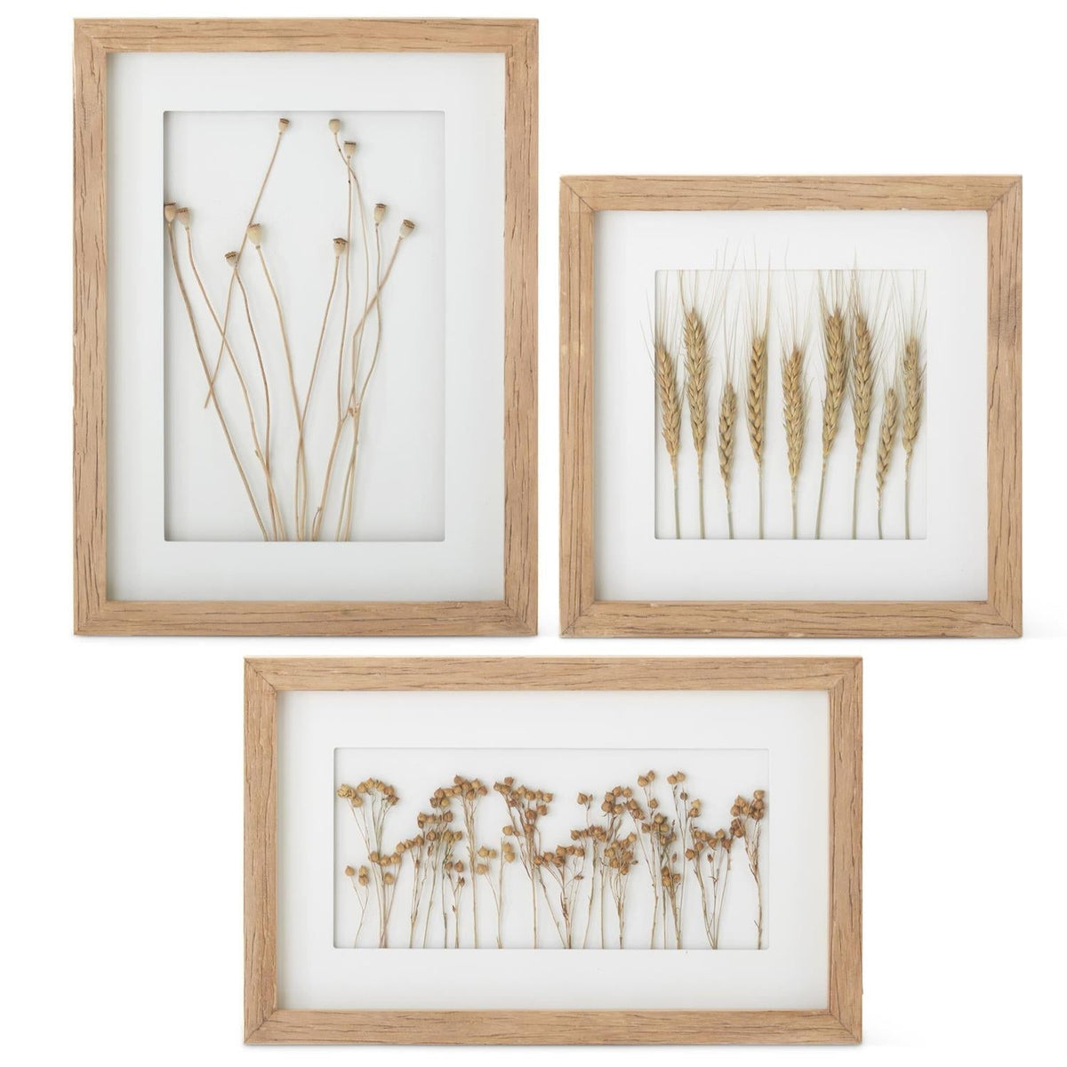 Natural wood framed dried wheat wall art, set of 3 sizes