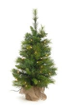 TREE PINE 30" W/50LTS