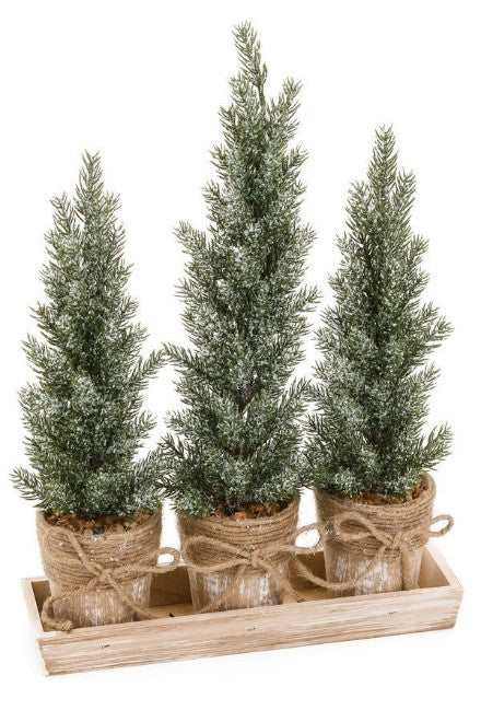 Tree combo with tray