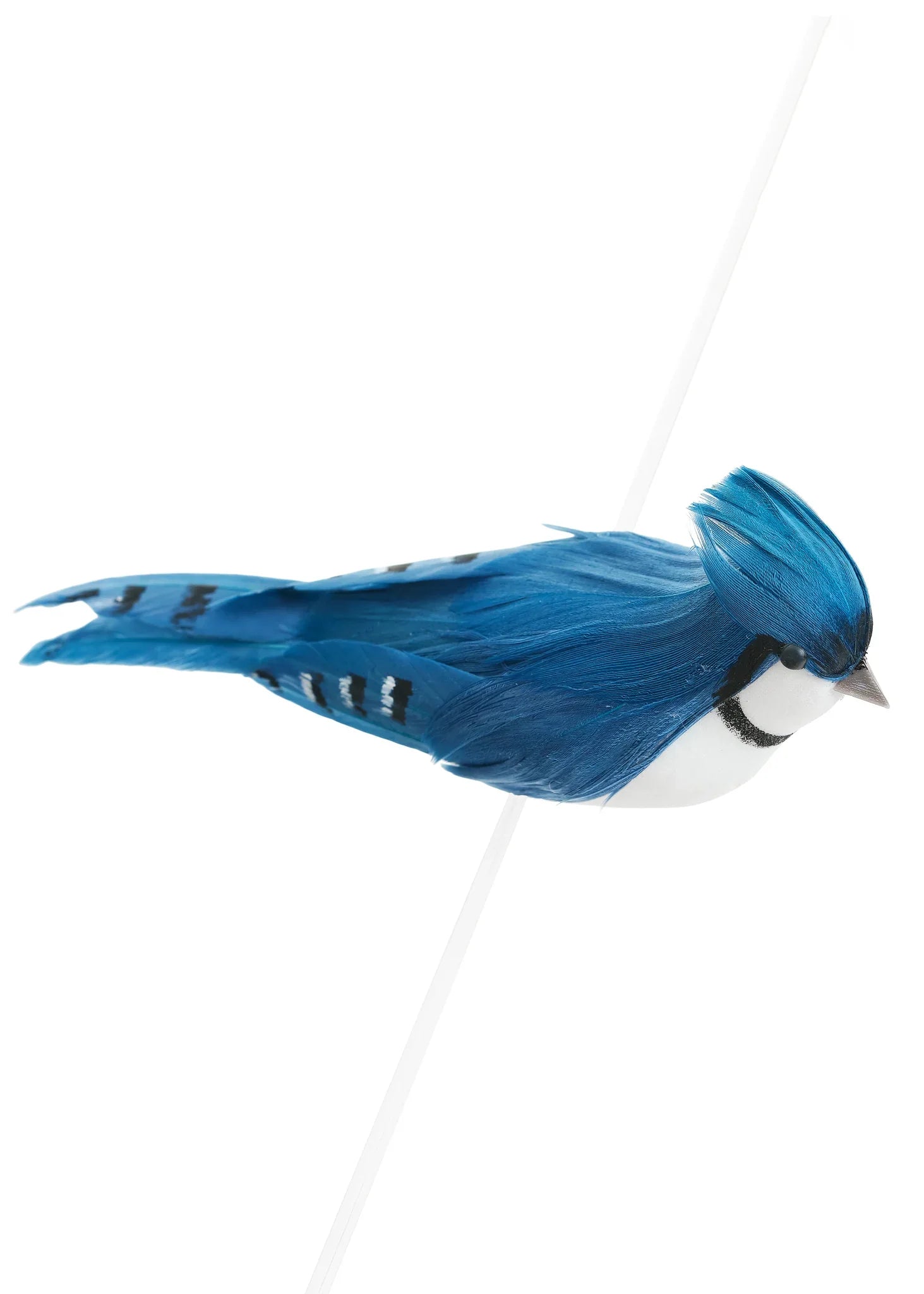 BIRD BLUE JAY W/CLIP FOAM/FEATHER BLUE 2X5.5