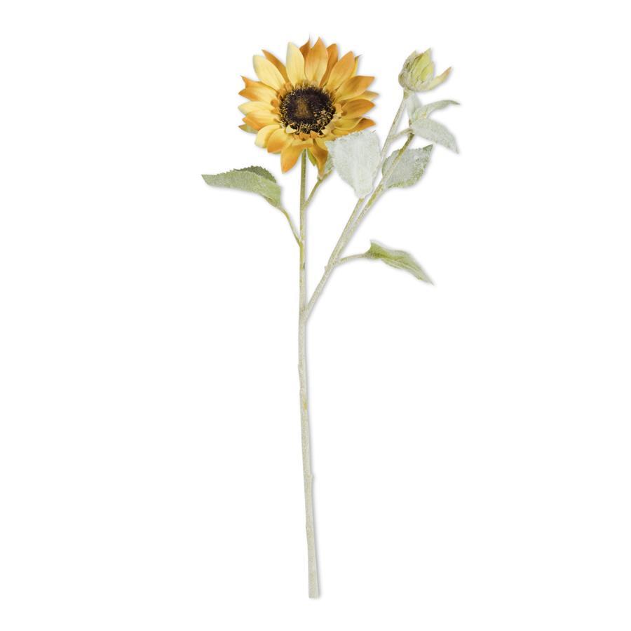Yellow two-tone bloom and blossom sunflower stem, 18 inches