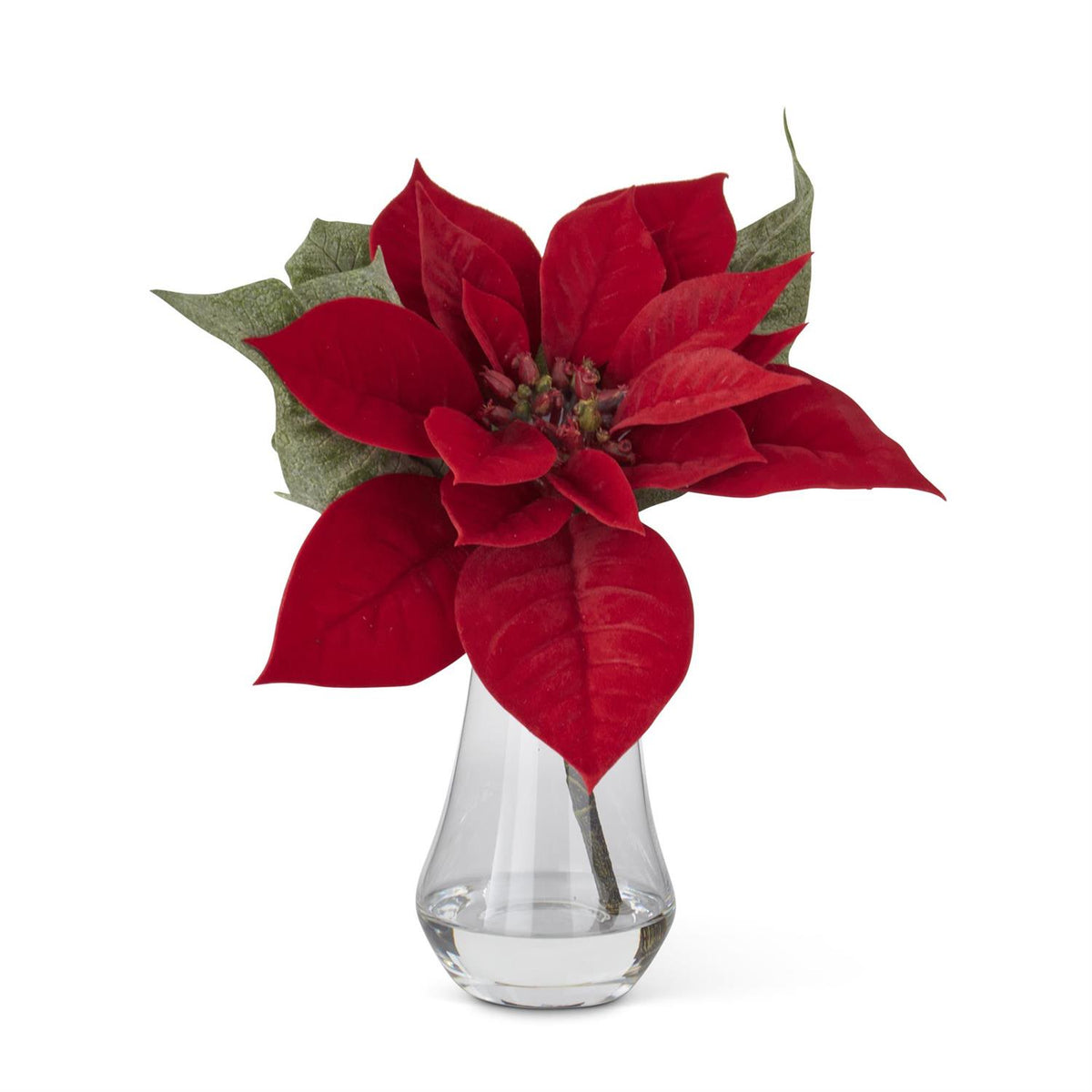 Red Poinsettia Premade in Clear Glass Vase, 10"