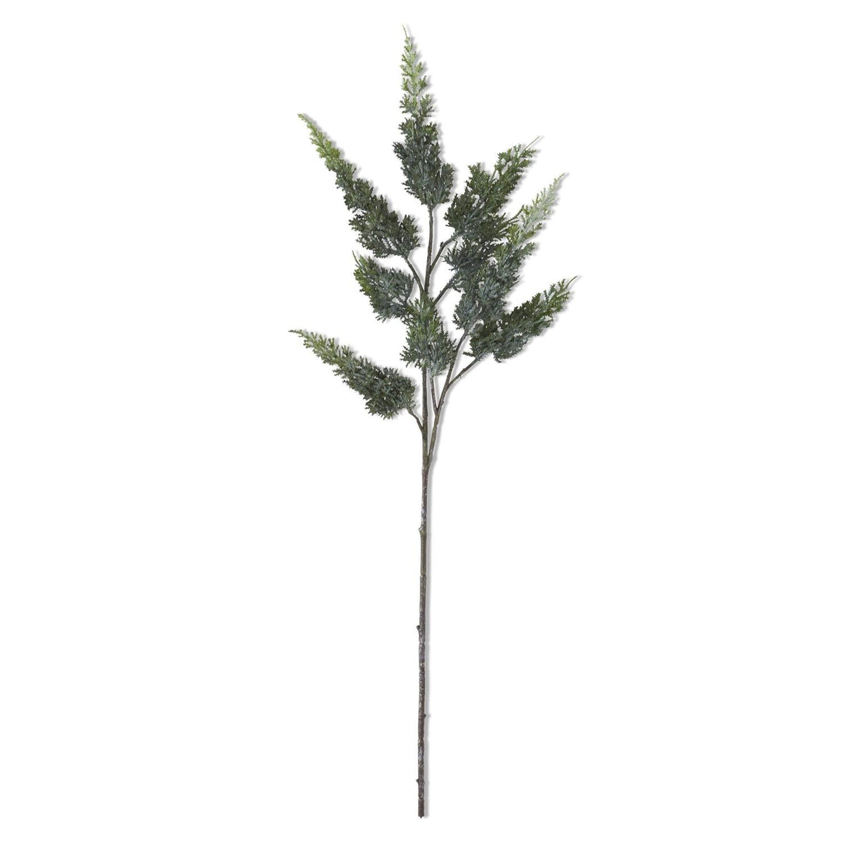 Real touch cypress pine stem, 34 inches, holiday floral