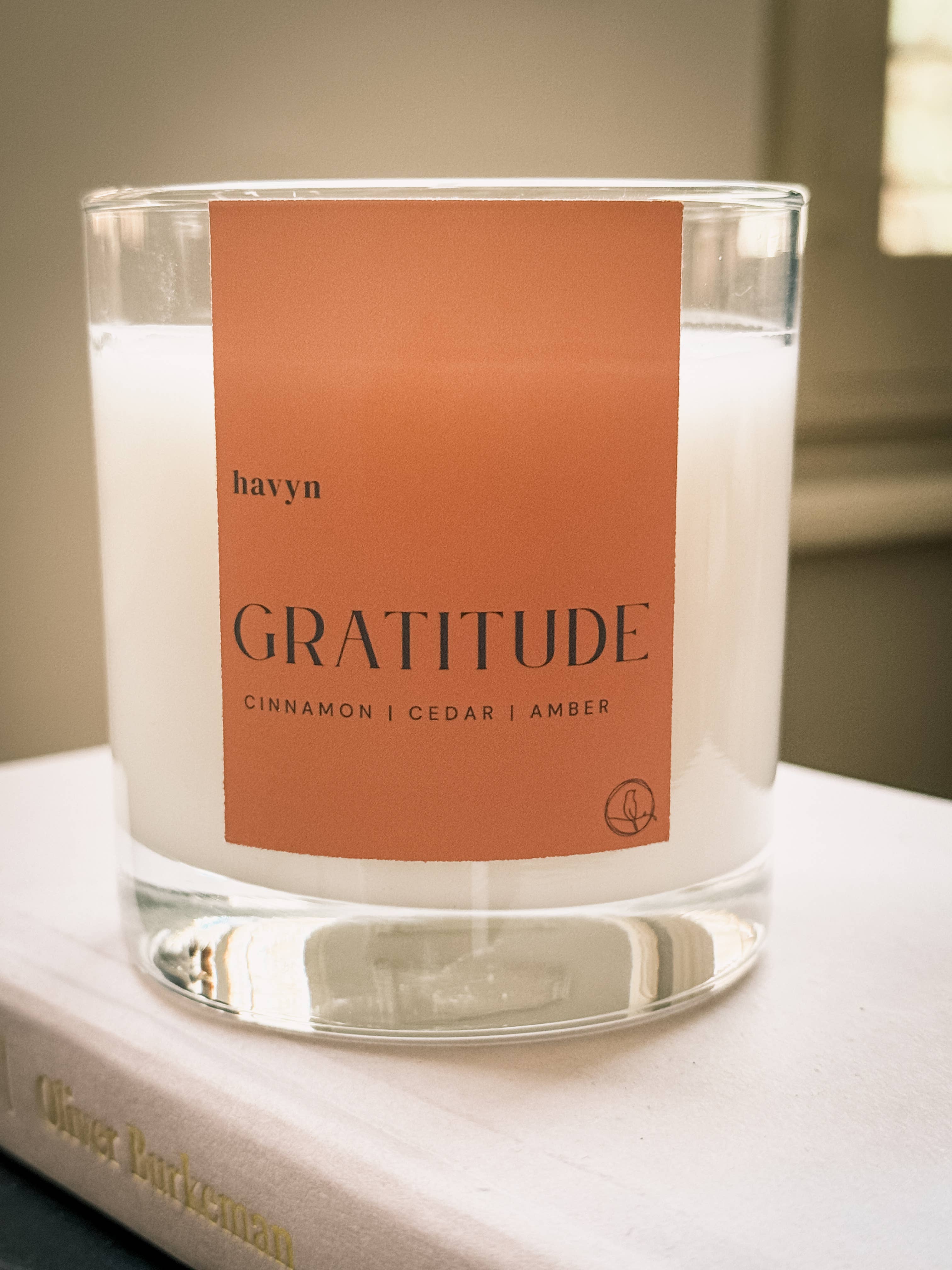 Fragrance 007: GRATITUDE Candle (Cedarwood, Cinnamon, Ginger)