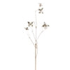 38" Champagne Butterfly Branch