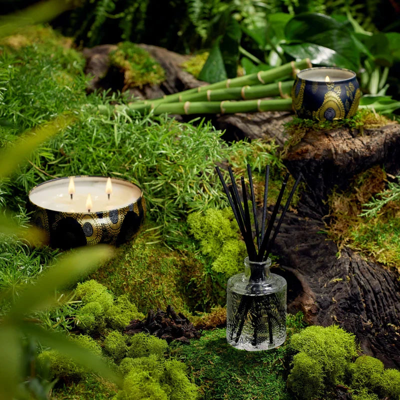 Voluspa Moso Bamboo diffuser, lifestyle shot with related scents