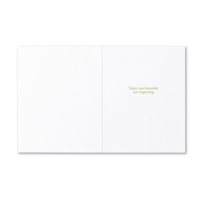 A new baby is like the beginning