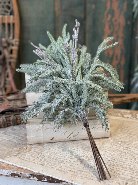 Snowdrift Norfolk Pine Bundle, 18"