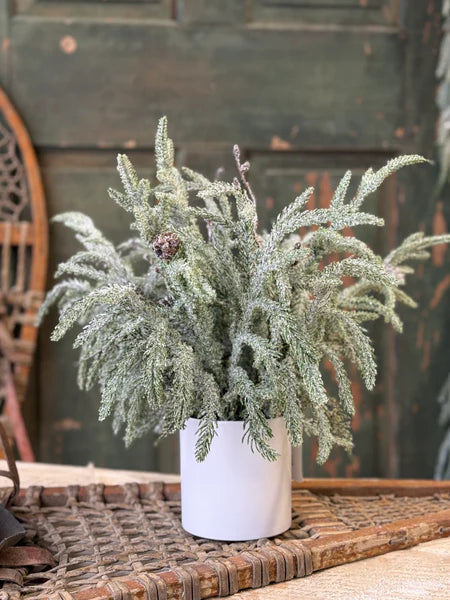 Snowdrift Norfolk Pine Pot, 15"