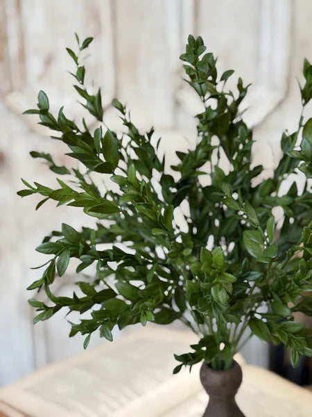 Nottswood Leaves Bush, 18"