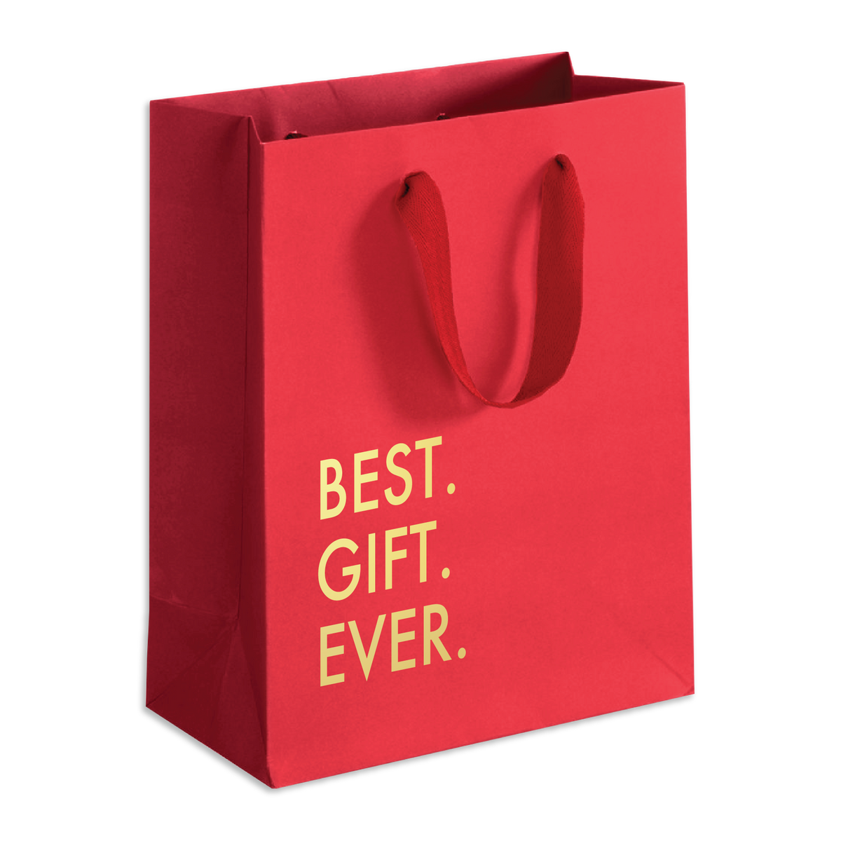 Best Gift Ever (Red) - Holiday Funny Gift Bag