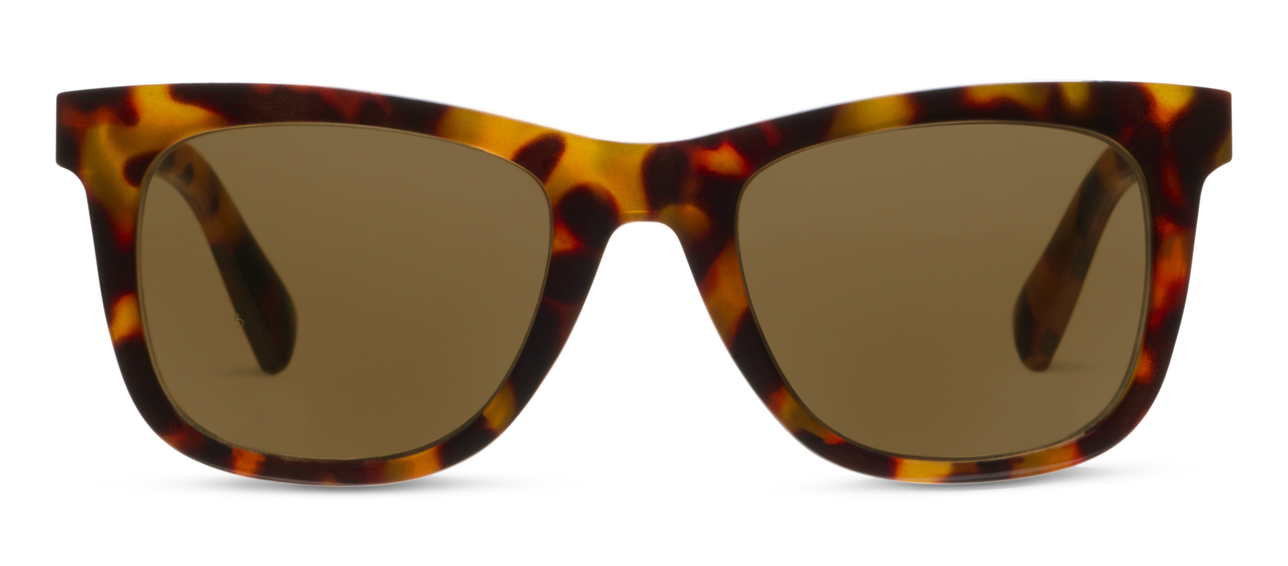 Harbor Polarized Sunglasses, Tortoise