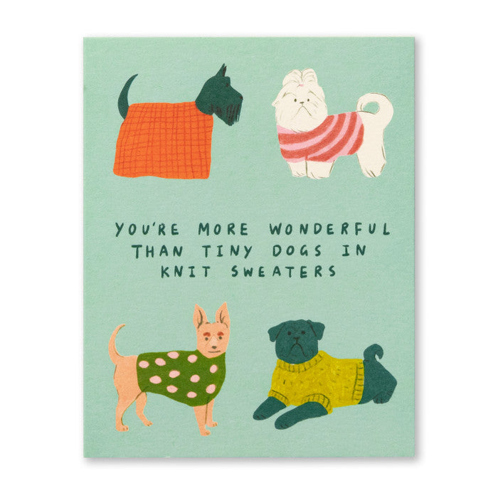 You're more wonderful than tiny dogs in knit sweaters .. friendship card