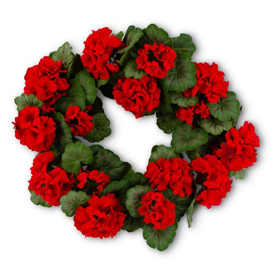 24 Inch Red Geranium Wreath