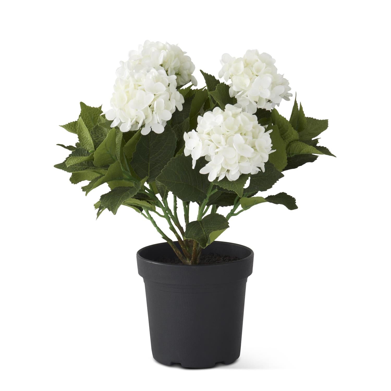 18.75 Inch 5 Bloom White Potted Hydrangea w/Faux Dirt