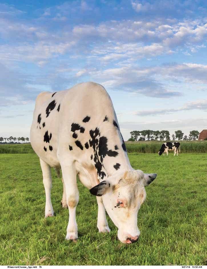 Wisconsin Cheese Cookbook: Creamy Cheesy Sweet and Savory