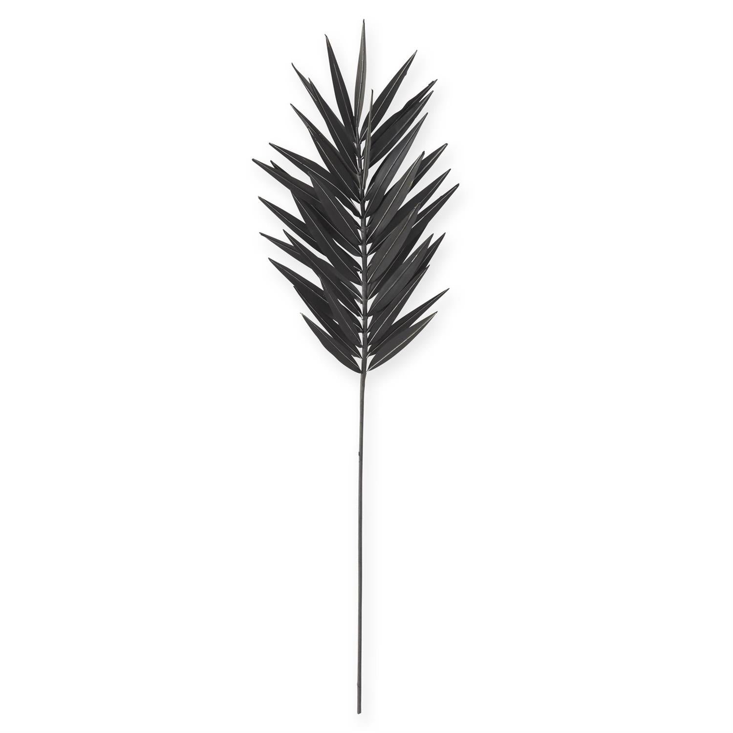 Black Palm Stem, 43"