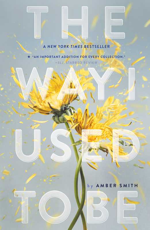 Way I Used to Be by Amber Smith