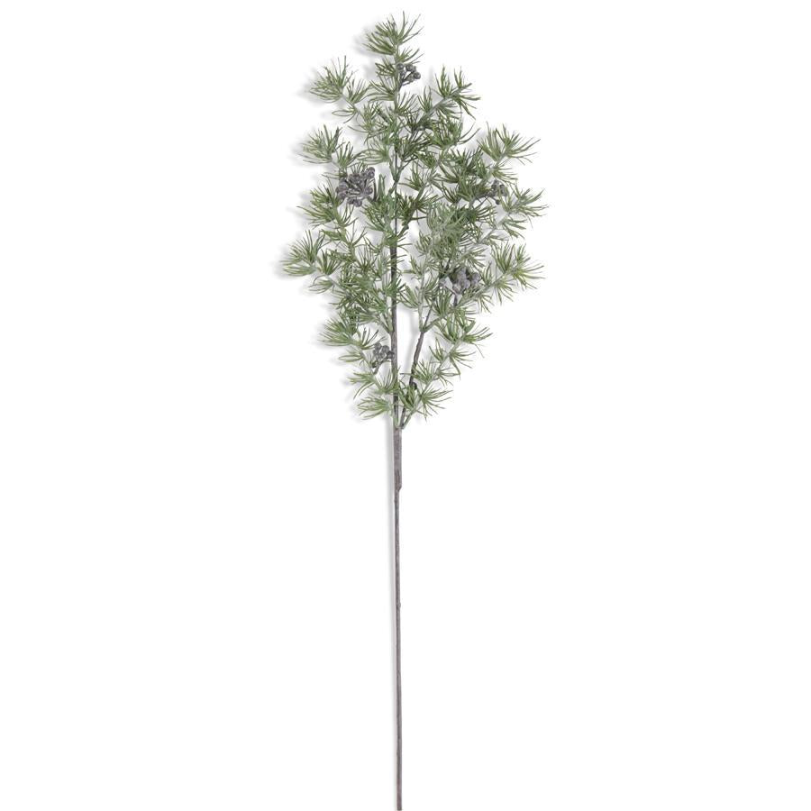 Pine stem with powdered blueberries, 30.5 inches, holiday floral