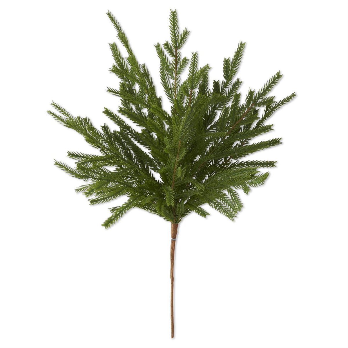 Real Touch Norfolk Pine Stem, 19"