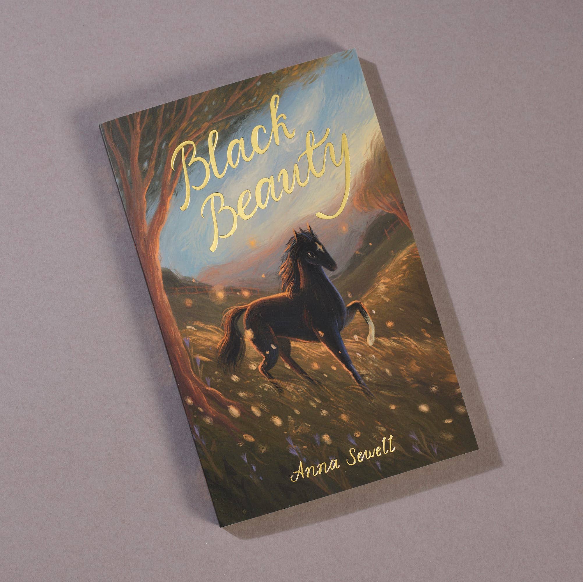 Black Beauty | Exclusive Editions | Wordsworth Book
