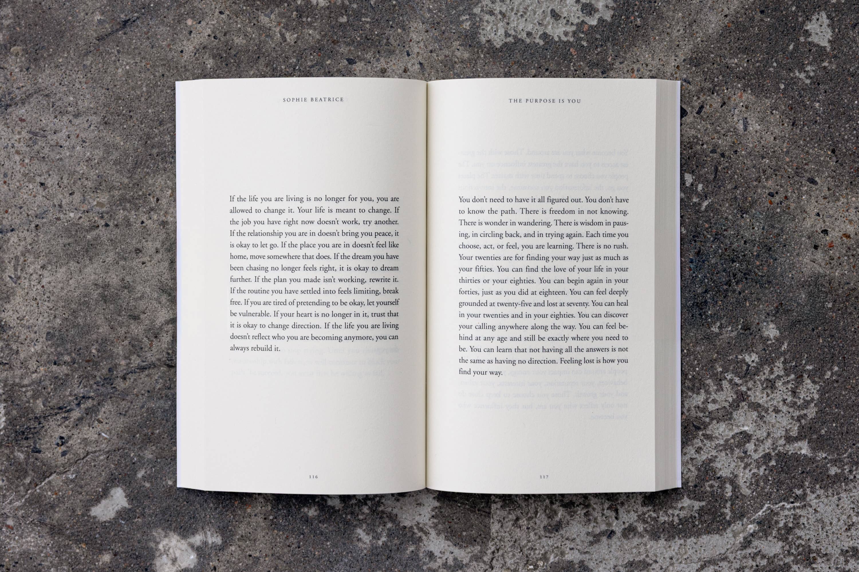 The Purpose Is You - Book