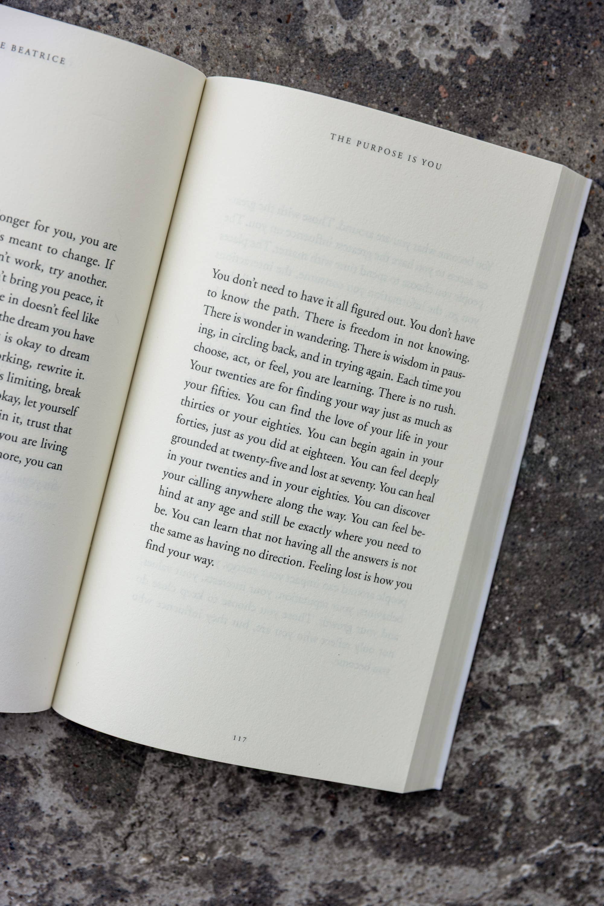 The Purpose Is You - Book