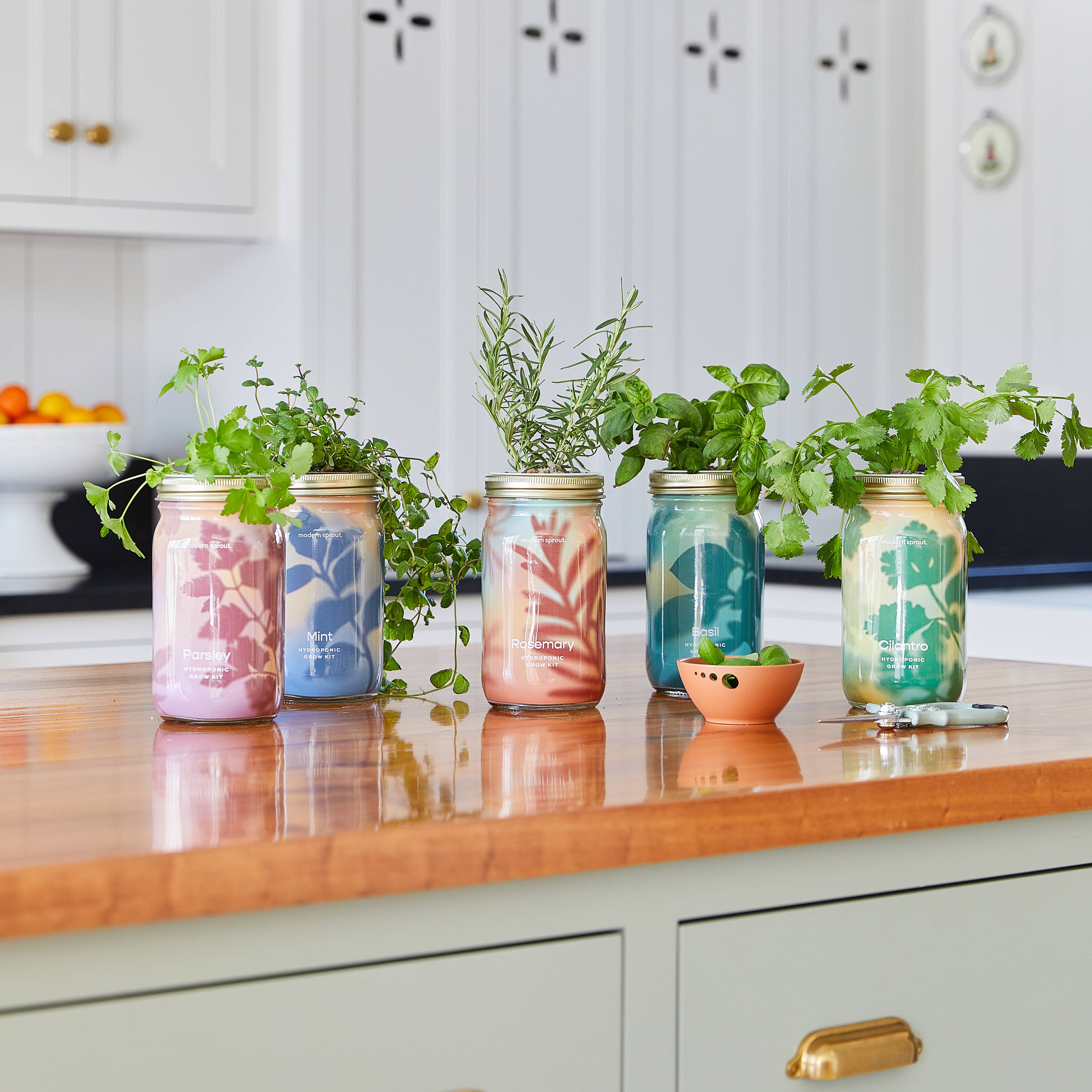 Herb Garden Jar