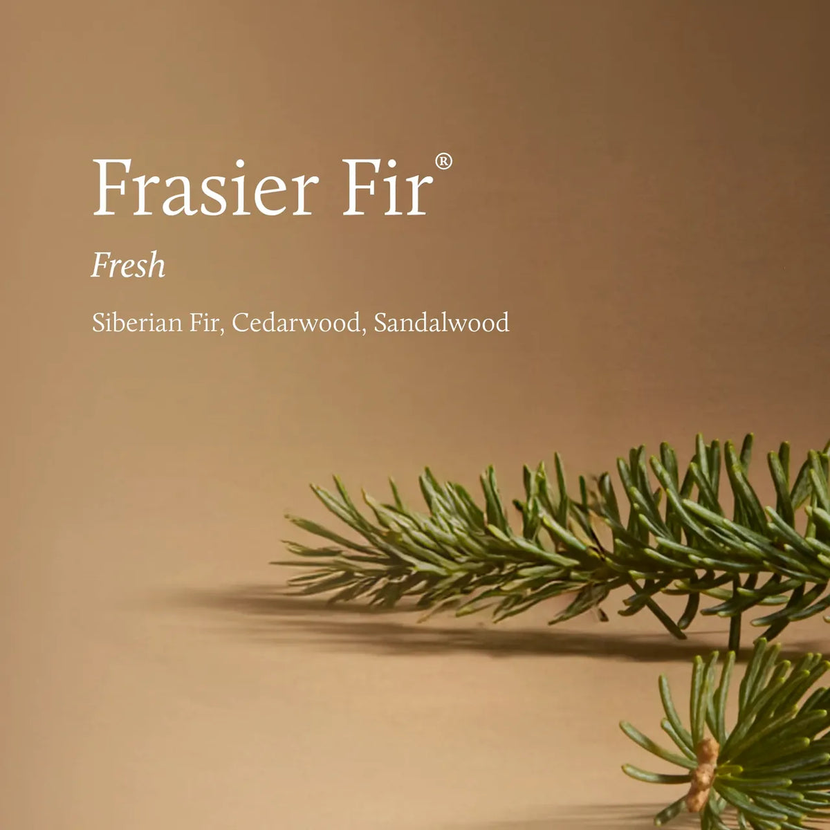 Frasier Fir Tidings 4 Wick Candle 21oz