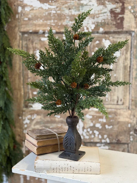 Woodbridge Cedar Bush, 20"
