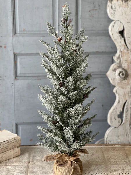 Shilling Cedar Tree, 32"