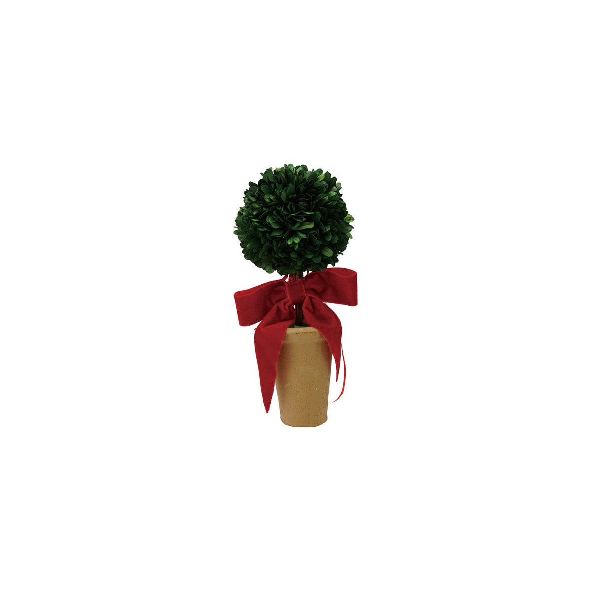 Preserved Boxwood Topiary in Terra-Cotta Pot with Red Velvet Bow
