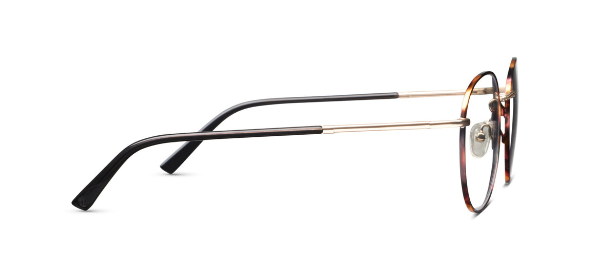 Peepers Classified Reading Glasses in Tortoise