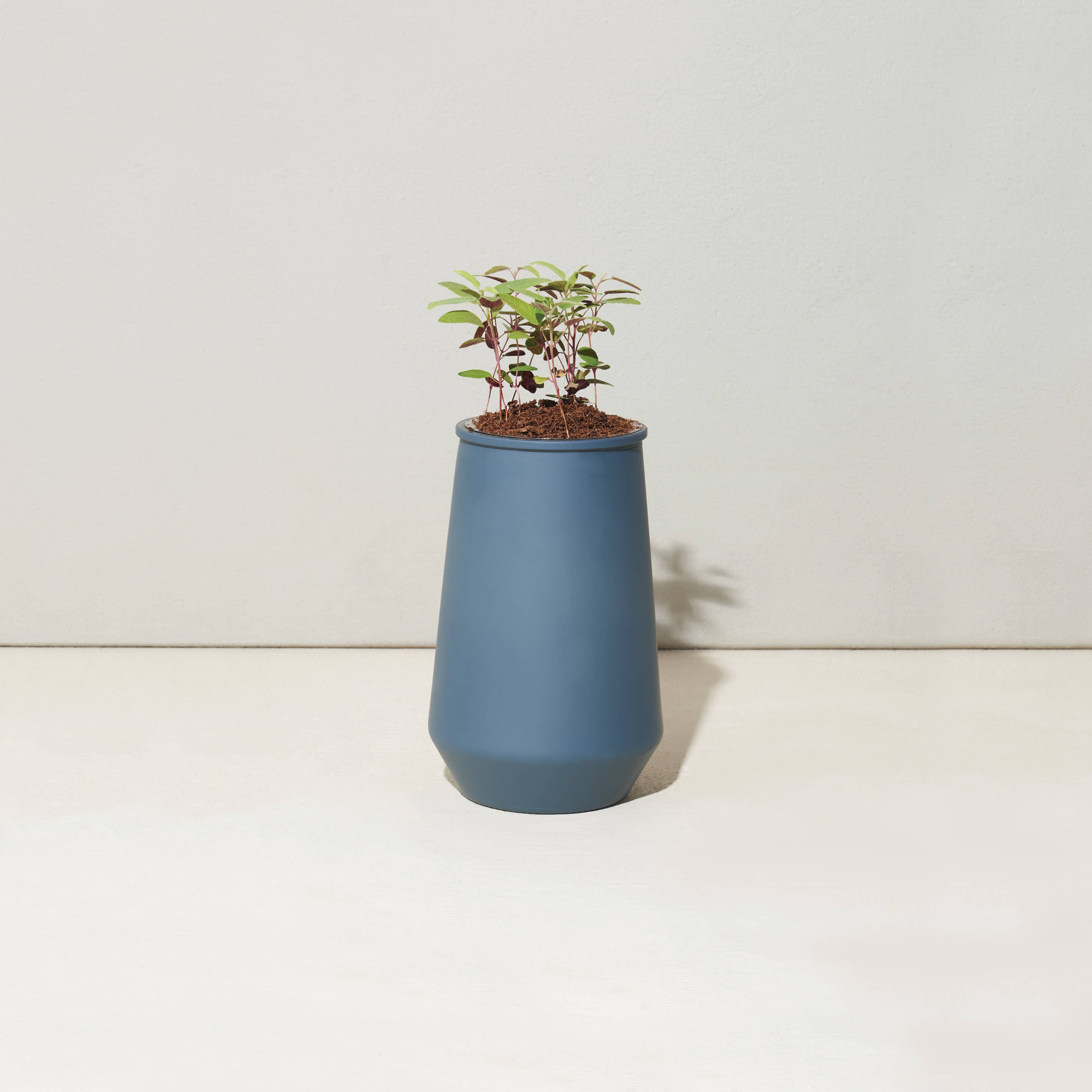 Tapered Tumbler