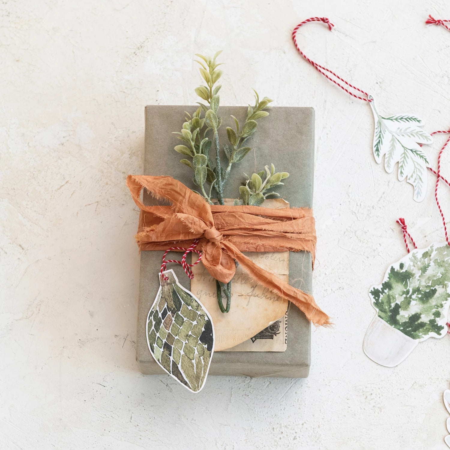 Printed Recycled Paper Trees & Botanicals Gift Tags/Ornaments, Set of 8